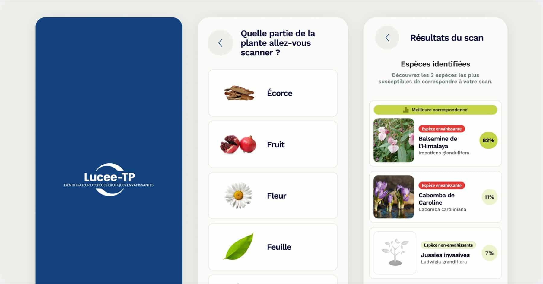 LuCEE-TP — reconnaissance IA des plantes invasives