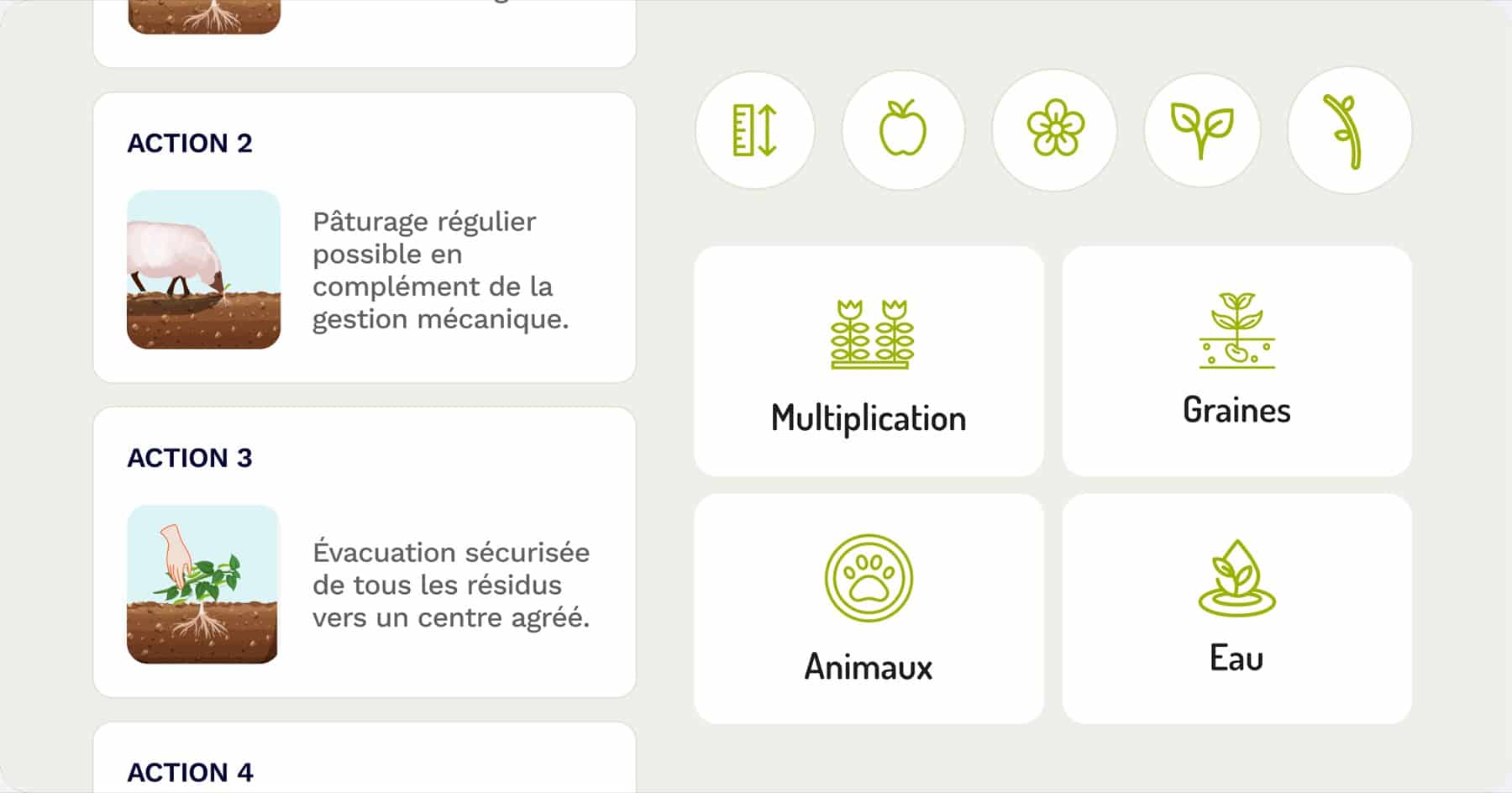 LuCEE-TP — reconnaissance IA des plantes invasives