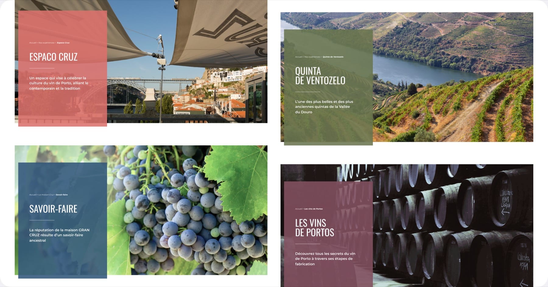 Porto Cruz — modernisation digitale